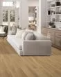 Barker Hollow SolidTech Plus Chance Luxury Vinyl