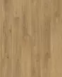 Barker Hollow SolidTech Plus Chance Luxury Vinyl