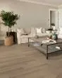 Pantheon HD+ Natural Bevel Ponder Luxury Vinyl