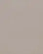 Thaddeus Taupe Matte Glazed Porcelain 24"x48" Anti-Slip Rated Field Tile