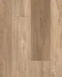 Pantheon HD Plus Foresta 7"x48" Luxury Vinyl