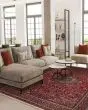 Kashimar All Over Center Medallion Antique Red Area Rug