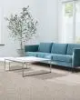 Cherished One Pet Friendly 85oz Carpet
