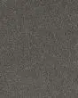 Royal Crest Textured 60oz Carpet