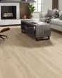 Paragon HD+ Natural Bevel Cambridge Luxury Vinyl