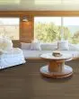 Dwell Natural Umber 9"x60" Luxury Vinyl