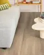 Briard Feathered Oak 9"x60" Pet Friendly Luxury Vinyl