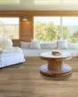 Titan HD Plus Platinum Imperial Beech 9"x72" Luxury Vinyl