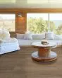 Fresh Take Cabriole Brown 9"x59" Luxury Vinyl