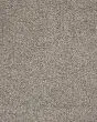 Luxuriant Space Textured SmartStrand 40oz Carpet