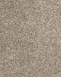 Canine Chic Pet Friendly EverStrand Carpet
