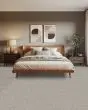 Warm Comfort Textured Smartstrand 40oz Carpet