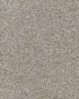 Warm Comfort Textured Smartstrand 40oz Carpet