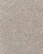 Cherished One Pet Friendly 85oz Carpet