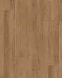 COREtec Plus XL Enhanced Waddington Oak Luxury Vinyl