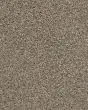 Poised Textured Endura Nylon 25oz Carpet