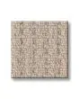 Framed View Patterned Polyester 25oz Carpet