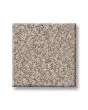 Truspirit II Textured 100% Polyester 58oz Carpet