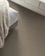 Artistic Fusion I Pet Friendly 43oz Carpet