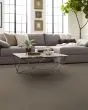 Artistic Fusion I Pet Friendly 43oz Carpet