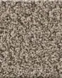 Artistic Fusion I Pet Friendly 43oz Carpet
