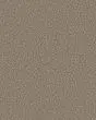 Artistic Fusion I Pet Friendly 43oz Carpet