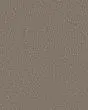 Artistic Fusion II Pet Friendly Carpet