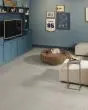 Home Within Patterned Pet Friendly 40oz Carpet