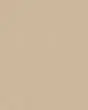 Awaken Spirit II Textured Nylon 53oz Carpet