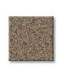 Abilene I Textured 100% Nylon 47oz Carpet