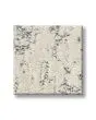Calm Expression Patterned Pet Friendly 40oz Carpet