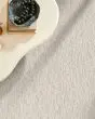Calm Expression Patterned Pet Friendly 40oz Carpet
