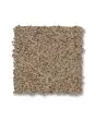 Canyon Lake Textured Nylon 46oz Carpet