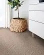 Canyon Lake Textured Nylon 46oz Carpet