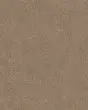 Canyon Lake Textured Nylon 46oz Carpet