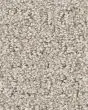 Peaceful Journey Beige Mist 50oz Pet Friendly Patterned Carpet