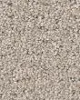 Peaceful Journey Chic Taupe 50oz Pet Friendly Patterned Carpet