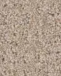 Peaceful Journey Baja 50oz Pet Friendly Patterned Carpet
