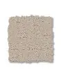 Peaceful Destination 48oz Patterned Pet Friendly Carpet