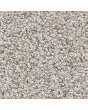 Tailored Blend II 53oz Textured Pet Friendly Carpet