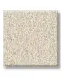 Classic Tone 58oz Pet Friendly Textured Carpet