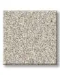Timeless Tone 58oz Textured Pet Friendly Carpet