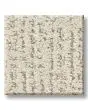Curated Tone 40oz Patterned Pet Friendly Carpet