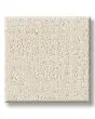 Natural Balance 43oz Patterned Pet Friendly Carpet