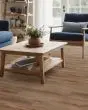 Whitmore Terrace 2/6 Baxter 7"x48" Luxury Vinyl