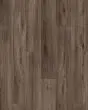 Whitmore Terrace 2/6 Blake 7"x48" Luxury Vinyl