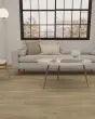 Whitmore Terrace 2.5 Danielle 7"x48" Luxury Vinyl