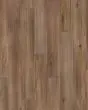 Whitmore Terrace 4.5 Baxter 7"x49" Luxury Vinyl