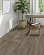 Whitmore Terrace 4.5 Ashwood 7"x49" Luxury Vinyl