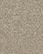 Stonecrest Textured 105oz PET Cloud 9 Carpet